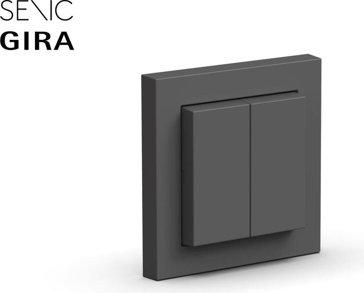 Actual product image Senic Friends of Hue