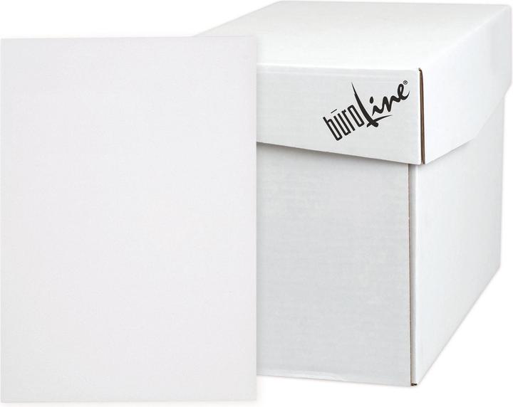 Image du produit BüroLine Enveloppe (B4, 250 x)