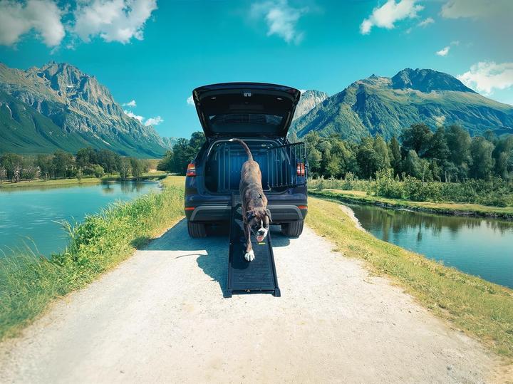 Image du produit 4pets Easy-Steps (Chien, Pliable)