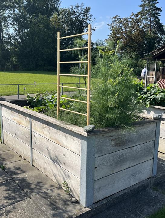 Produktbild Windhager Holz-Rankhilfe Leiter 60x120cm (120 cm, 60 cm)