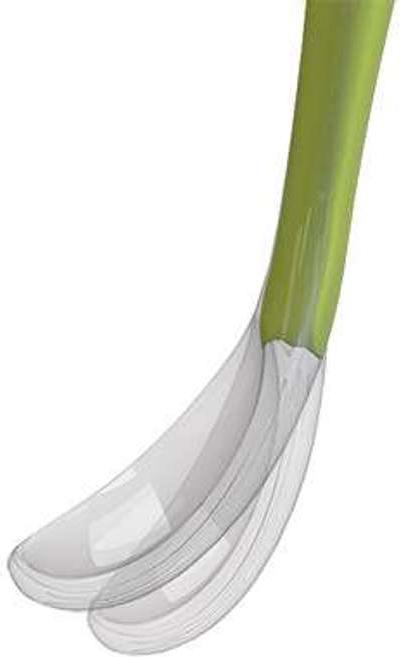 Produktbild Chicco Soft Spoon