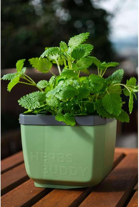 Actual product image Gusta Garden HERBS BUDDY Kräutertopf 3er Set Grün (49 x 15 x 14.50 cm)