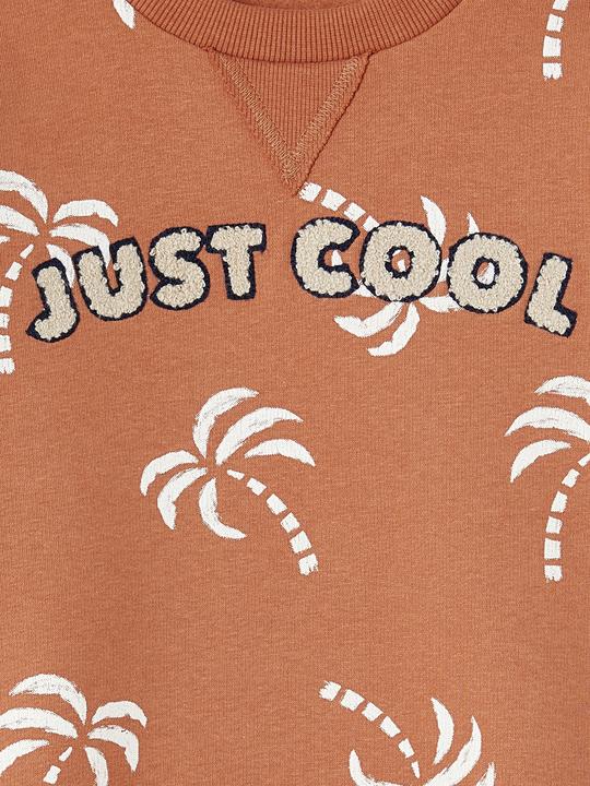 Produktbild Vertbaudet Jungen Sweatshirt mit Frottee-Motiv und Recycling-Polyester (158, 164)