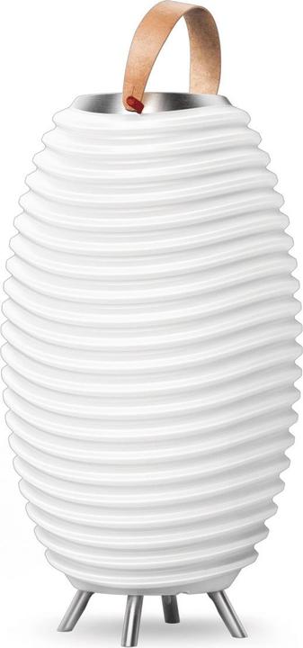Produktbild Kooduu Synergy (56cm, Bluetooth Lautsprecher) (8 h, Akkubetrieb)