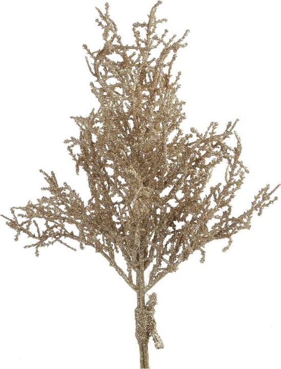 Produktbild Countryfield Decostar Monilophyta hellbraun S