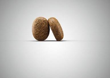 Immagine prodotto Josera Optiness (Adulto, 1 pz., 900 g)