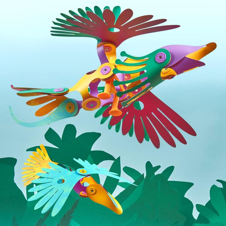 Image du produit Clixo Tropical Birds