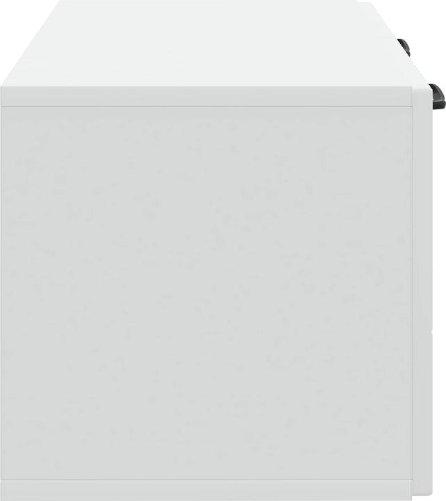 Produktbild vidaXL Wandschrank (31 x 59.50 x 30 cm)