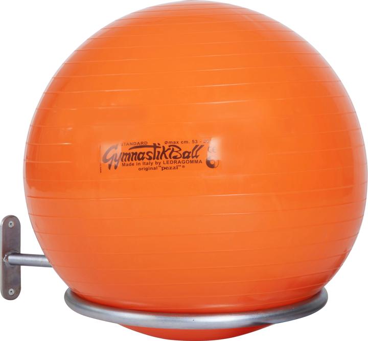Sport-Thieme Gym ball wall mount one ball