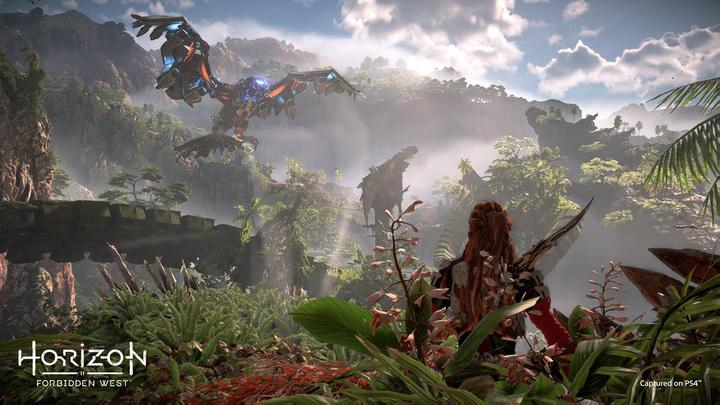 Immagine prodotto Sony Horizon Forbidden West (UK/AR) (PS4, EN, FR)