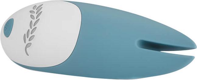 Actual product image Bloom Tulip