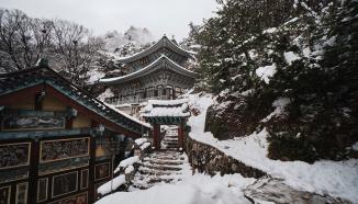 Actual product image Laowa 10mm 1:4 Pancake Nikon Z (APS-C) black (Manual Focus) (Novelty) (Nikon Z, APS-C / DX)