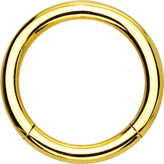Produktbild Star Piercing Segmentring vergoldet mit Titanium Schicht (Chirurgenstahl 316L, ohne Messing)