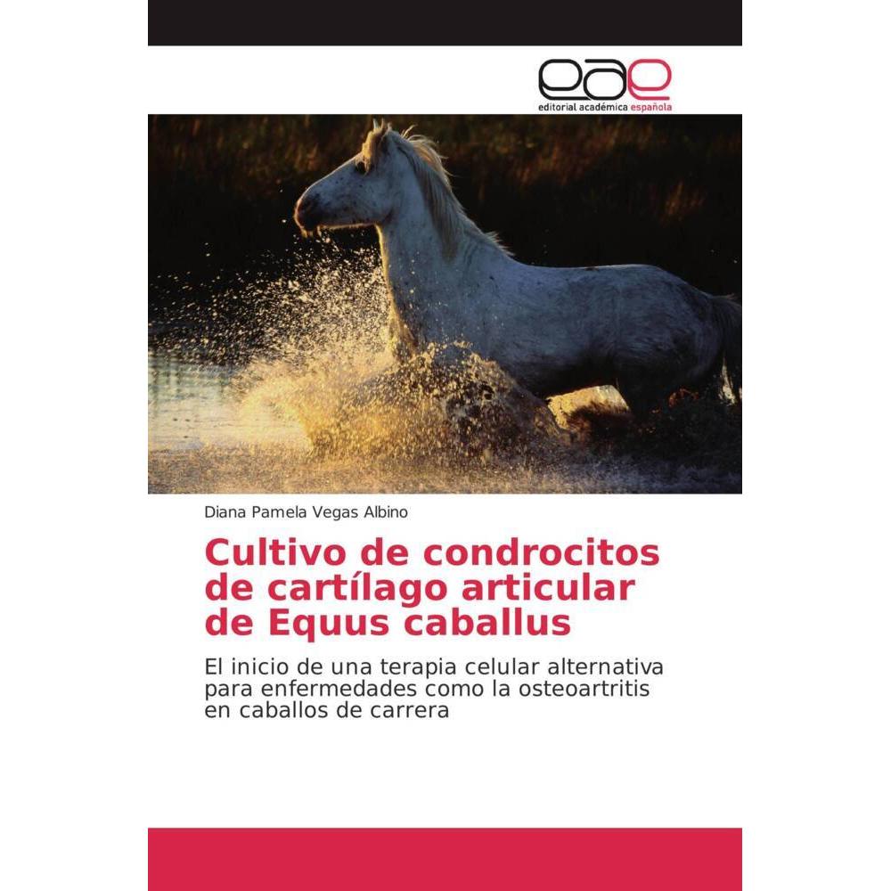 Cultivo de condrocitos de cartílago articular de Equus caballus, Fachbücher von Diana Pamela Vegas Albino