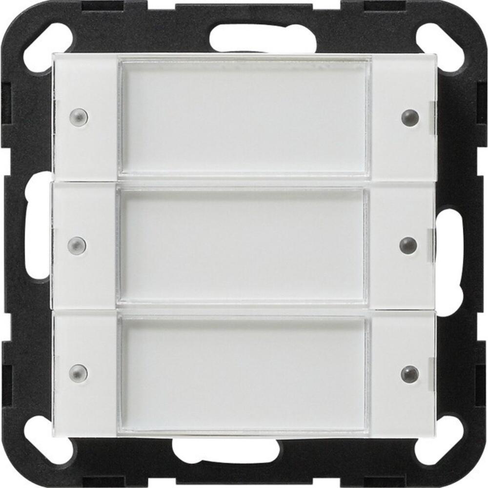 Gira, Zubehör Schalterprogramm, Tastsensor 2 3f 24V 2003100 System 55 Transparent ws potentialfrei