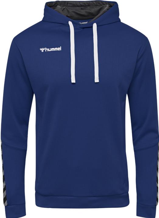 Actual product image hummel Authentic Poly Hoodie (L)