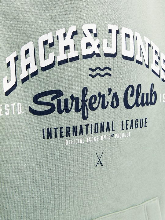 Actual product image Jack & Jones JJELOGO SWEAT HOOD 2 COL 24/25 NOOS JNR (164)