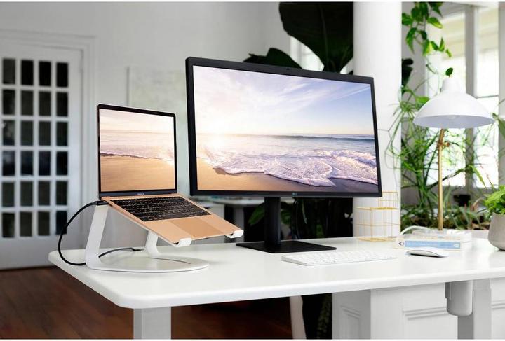 Image du produit TwelveSouth Courbe SE