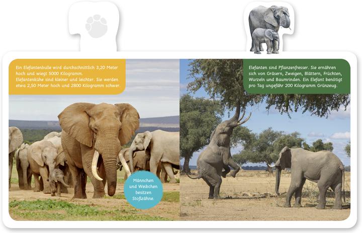 Produktbild Der Elefant (Deutsch, Hannah Kastenhuber, 2018)