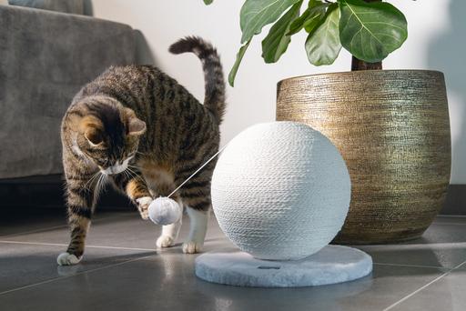 Produktbild Karlie Bolly (Weiss)