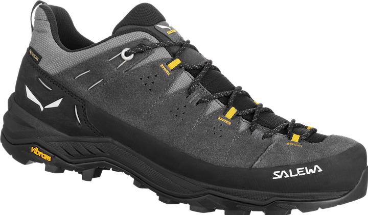 Actual product image Salewa Alp Trainer 2 GTX (43)