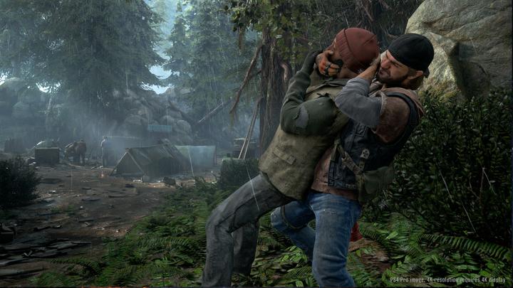 Actual product image Sony Days Gone (PS4, DE)
