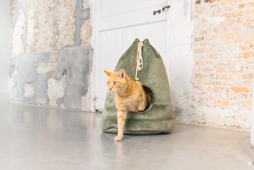 Productafbeelding Designed by Lotte Vilar (Kat)