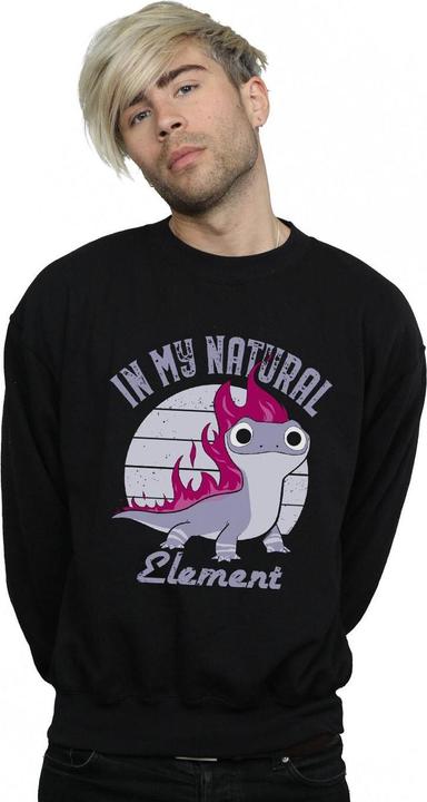 Actual product image Disney Mens Frozen 2 Salamander Bruni Element Sweatshirt (XXL)