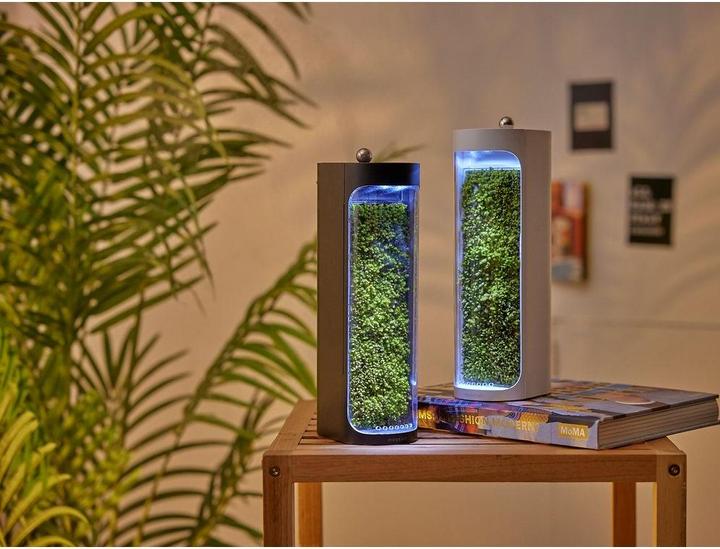 Actual product image Mosslab Air Humidifier Moss black