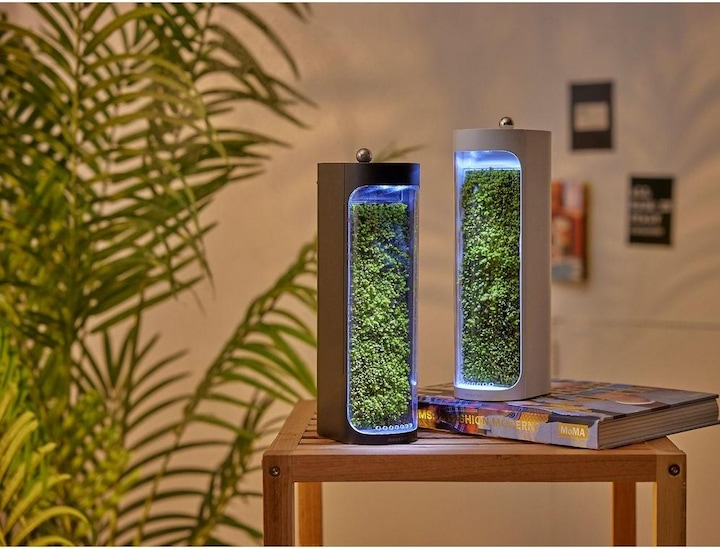 Immagine prodotto Mosslab Umidificatore d'aria Moss nero