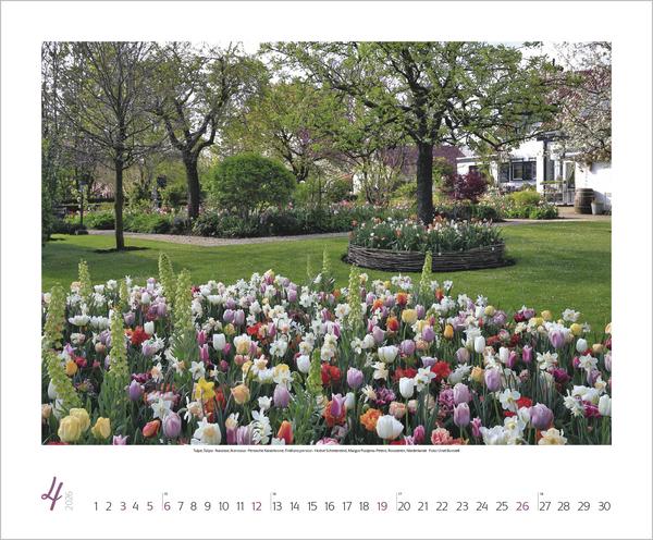 Actual product image Gartenträume 2026 (55 x 45.5 cm)