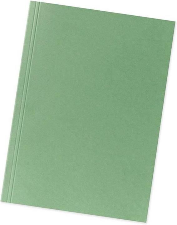 Immagine prodotto Falken Copertina di cartone per cartelle, verde (A4, 100 x)