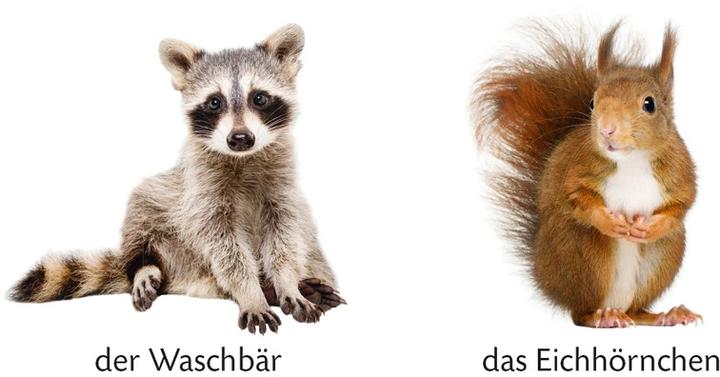 Immagine prodotto Duden 12+ Lo sai? La mia scatola colorata per giocare e imparare: Mondo dei bambini (Tedesco)