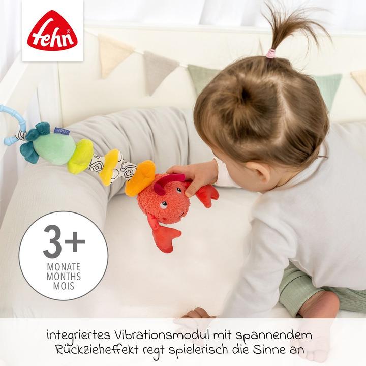 Productafbeelding Fehn Hummer mit Vibration Mehrfarbig, Material: Bouclette