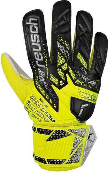 Produktbild Reusch Attrakt Solid TorhüterHandschuhe (6.5)