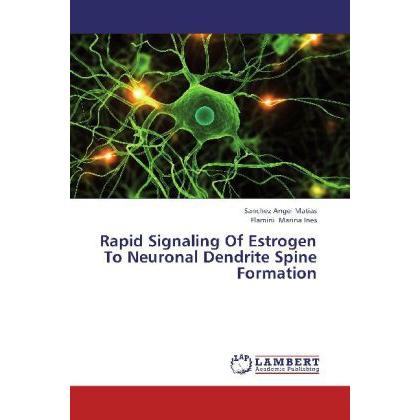 Rapid Signaling Of Estrogen To Neuronal Dendrite Spine Formation, Fachbücher