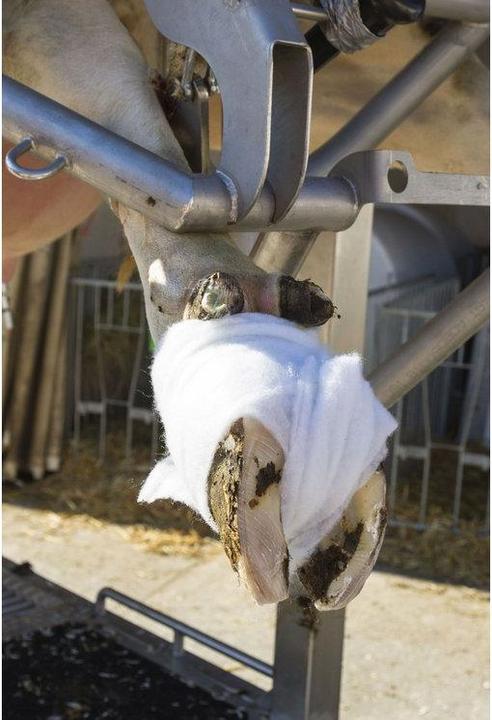 Actual product image Kerbl Roll cotton