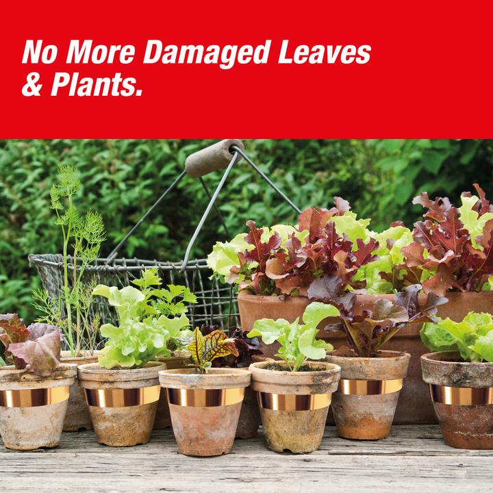 Produktbild Swissinno Schneckenkupferband 3cm x 5m