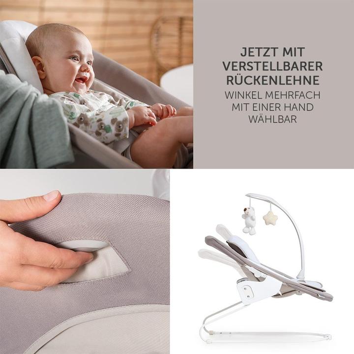 Immagine prodotto Hauck Seggioloni Alpha Plus Walnut Newborn Set Deluxe - 4 pezzi. (Seggiolone)