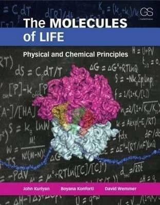Produktbild The Molecules of Life (Englisch, Boyana Konforti, David Wemmer, John Kuriyan, 2012)