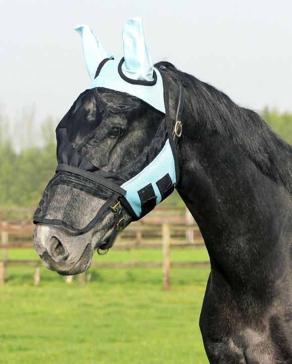 Qhp Fly mask with removable nose guard