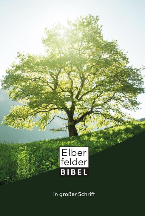 Actual product image Elberfelder Bible in large font (German, 2022)