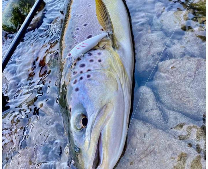 Immagine prodotto Stucki Thun Fanatics Quarry (8 cm)