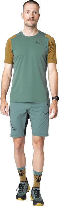 Actual product image Dynafit Transalper Light Dynastretch Shorts Herren (L)