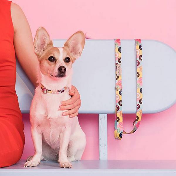 Actual product image amiplay Leash Be Happy Cherry, 15mm/100-200 cm (S, Dog, General)