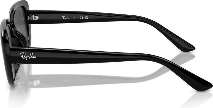 Produktbild Ray Ban RB4421D