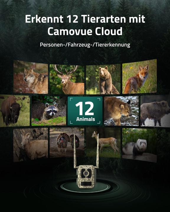 Actual product image Reolink Camovue Talon Pro wildlife camera
