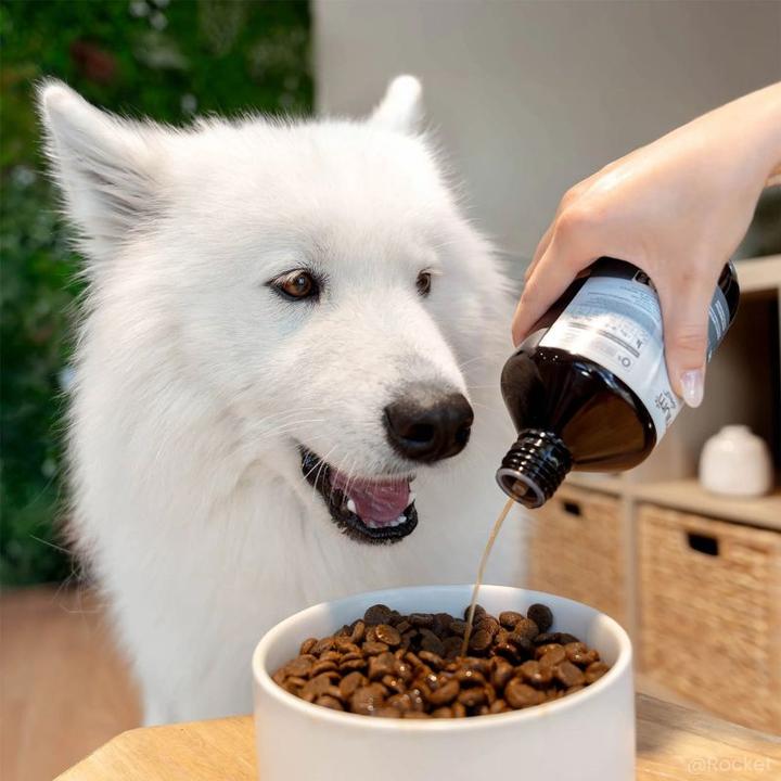 Produktbild Ultra Premium Direct Lachsöl (Adult, 500 g)