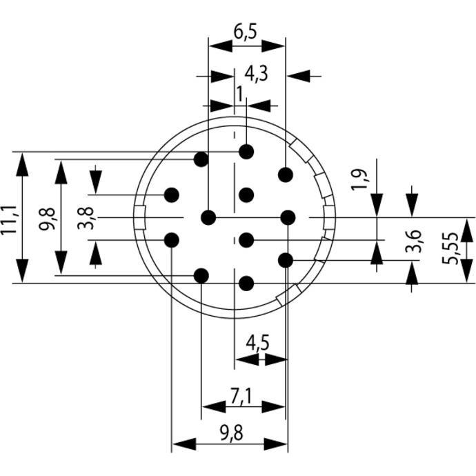 Weidmüller Contatto, Cavo + Spina elettrica