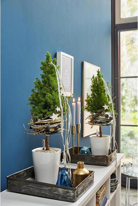 Produktbild Lechuza Deltini (15 cm)